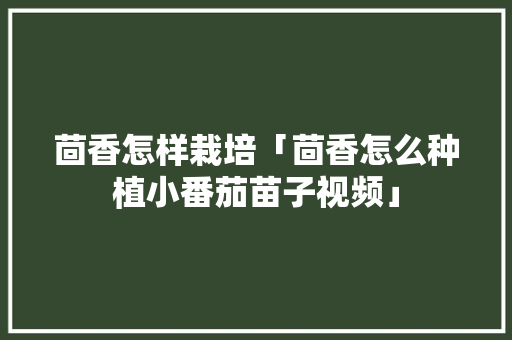 茴香怎样栽培「茴香怎么种植小番茄苗子视频」