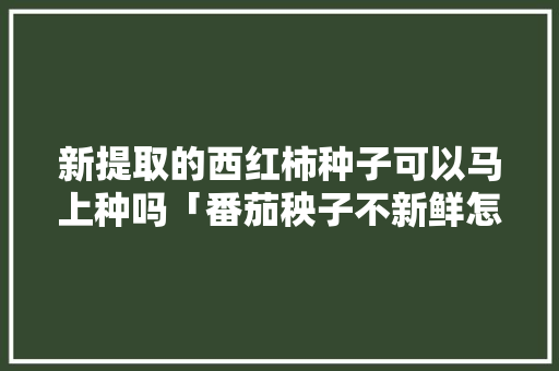 新提取的西红柿种子可以马上种吗「番茄秧子不新鲜怎么种植视频」 新提取的西红柿种子可以马上种吗「番茄秧子不新鲜怎么种植视频」 植物种类