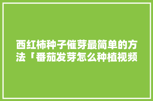 西红柿种子催芽最简单的方法「番茄发芽怎么种植视频」 西红柿种子催芽最简单的方法「番茄发芽怎么种植视频」 土壤施肥