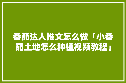 番茄达人推文怎么做「小番茄土地怎么种植视频教程」 番茄达人推文怎么做「小番茄土地怎么种植视频教程」 土壤施肥