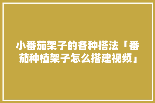 小番茄架子的各种搭法「番茄种植架子怎么搭建视频」 种植技巧 小番茄架子的各种搭法「番茄种植架子怎么搭建视频」 小番茄架子的各种搭法「番茄种植架子怎么搭建视频」 种植技巧