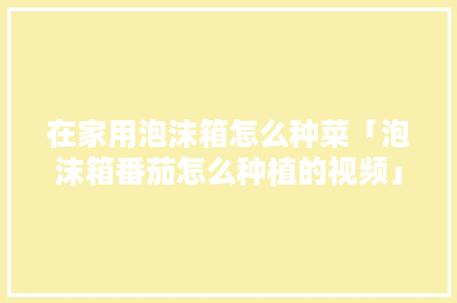 在家用泡沫箱怎么种菜「泡沫箱番茄怎么种植的视频」