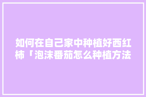 如何在自己家中种植好西红柿「泡沫番茄怎么种植方法视频」 如何在自己家中种植好西红柿「泡沫番茄怎么种植方法视频」 番茄病虫害防治