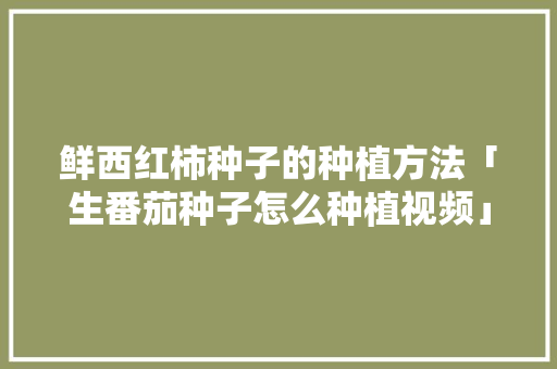鲜西红柿种子的种植方法「生番茄种子怎么种植视频」 鲜西红柿种子的种植方法「生番茄种子怎么种植视频」 番茄种植技巧