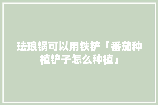 珐琅锅可以用铁铲「番茄种植铲子怎么种植」 珐琅锅可以用铁铲「番茄种植铲子怎么种植」 番茄种植技巧