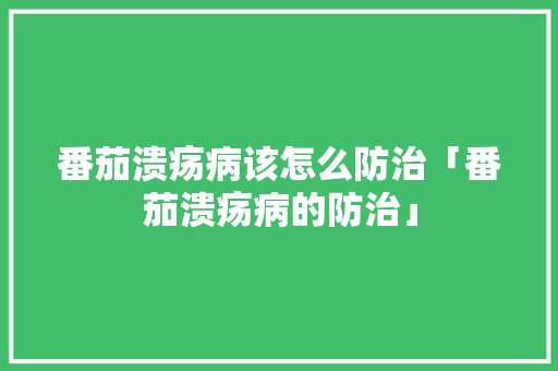 番茄溃疡病该怎么防治「番茄溃疡病的防治」