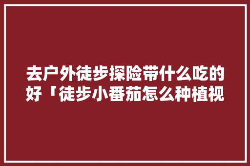 去户外徒步探险带什么吃的好「徒步小番茄怎么种植视频」 去户外徒步探险带什么吃的好「徒步小番茄怎么种植视频」 种植技巧