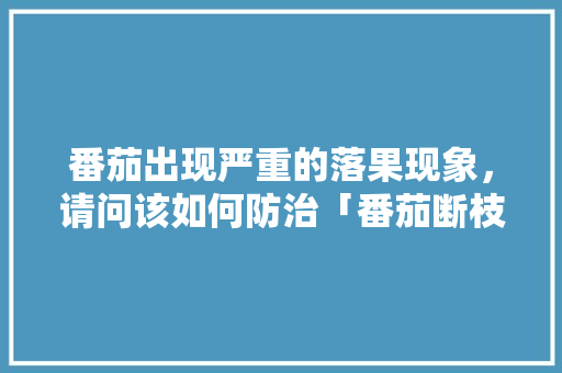 番茄出现严重的落果现象，请问该如何防治「番茄断枝怎么水培种植视频」