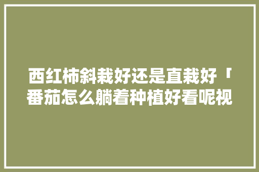 西红柿斜栽好还是直栽好「番茄怎么躺着种植好看呢视频」 西红柿斜栽好还是直栽好「番茄怎么躺着种植好看呢视频」 植物种类