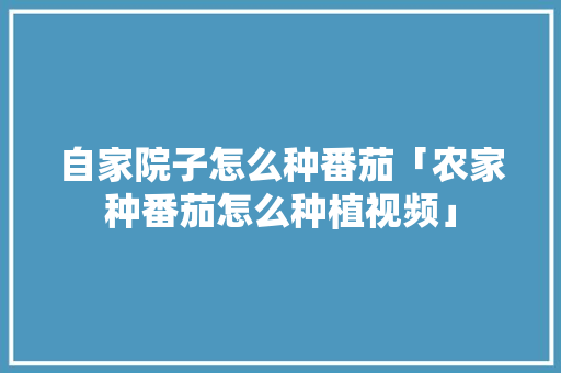 自家院子怎么种番茄「农家种番茄怎么种植视频」 自家院子怎么种番茄「农家种番茄怎么种植视频」 番茄种植技巧