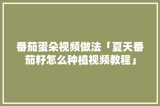 番茄蛋朵视频做法「夏天番茄籽怎么种植视频教程」 番茄蛋朵视频做法「夏天番茄籽怎么种植视频教程」 番茄种植技巧
