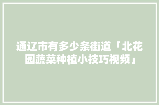 通辽市有多少条街道「北花园蔬菜种植小技巧视频」