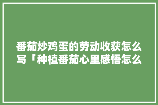 番茄炒鸡蛋的劳动收获怎么写「种植番茄心里感悟怎么写好」