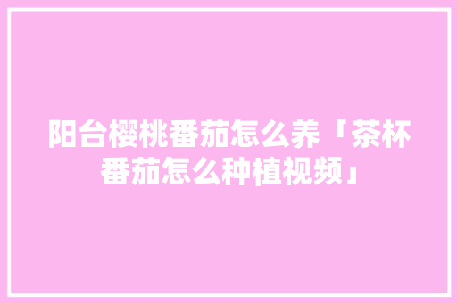 阳台樱桃番茄怎么养「茶杯番茄怎么种植视频」 阳台樱桃番茄怎么养「茶杯番茄怎么种植视频」 番茄种植技巧