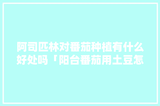 阿司匹林对番茄种植有什么好处吗「阳台番茄用土豆怎么种植视频」