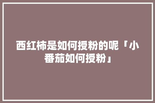 西红柿是如何授粉的呢「小番茄如何授粉」 西红柿是如何授粉的呢「小番茄如何授粉」 花朵知识