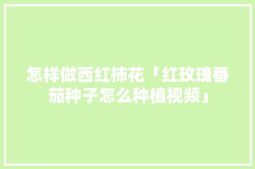 怎样做西红柿花「红玫瑰番茄种子怎么种植视频」 怎样做西红柿花「红玫瑰番茄种子怎么种植视频」 土壤施肥