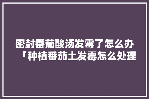 密封番茄酸汤发霉了怎么办「种植番茄土发霉怎么处理好」 密封番茄酸汤发霉了怎么办「种植番茄土发霉怎么处理好」 番茄种植技巧