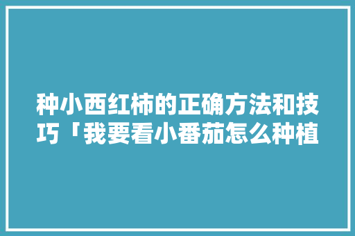 种小西红柿的正确方法和技巧「我要看小番茄怎么种植的视频」 种小西红柿的正确方法和技巧「我要看小番茄怎么种植的视频」 番茄种植技巧