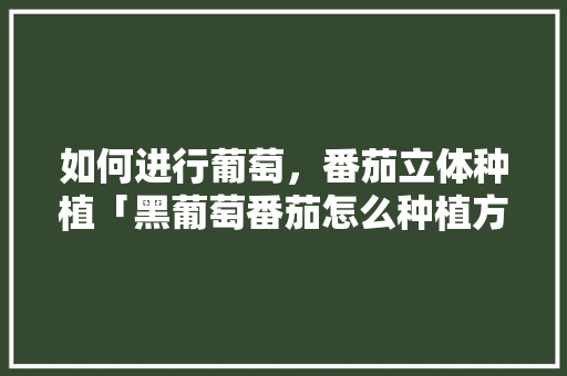 如何进行葡萄，番茄立体种植「黑葡萄番茄怎么种植方法视频」