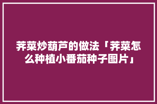 荠菜炒葫芦的做法「荠菜怎么种植小番茄种子图片」 荠菜炒葫芦的做法「荠菜怎么种植小番茄种子图片」 种植技巧