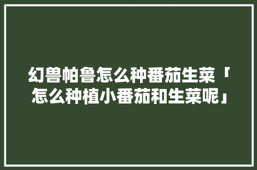 幻兽帕鲁怎么种番茄生菜「怎么种植小番茄和生菜呢」 幻兽帕鲁怎么种番茄生菜「怎么种植小番茄和生菜呢」 番茄病虫害防治