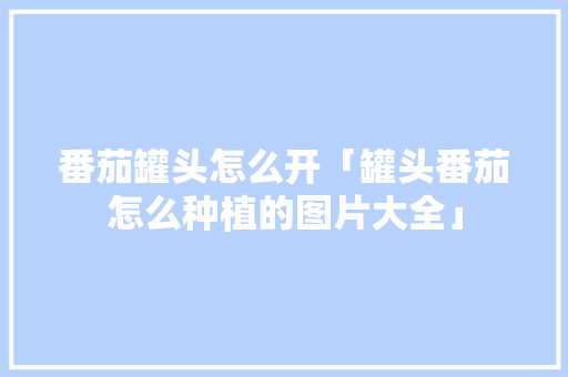 番茄罐头怎么开「罐头番茄怎么种植的图片大全」 番茄罐头怎么开「罐头番茄怎么种植的图片大全」 农业常识