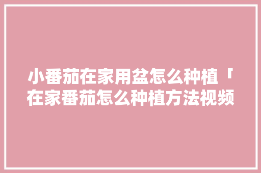 小番茄在家用盆怎么种植「在家番茄怎么种植方法视频」 小番茄在家用盆怎么种植「在家番茄怎么种植方法视频」 花朵知识
