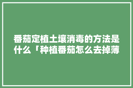 番茄定植土壤消毒的方法是什么「种植番茄怎么去掉薄膜呢」 番茄定植土壤消毒的方法是什么「种植番茄怎么去掉薄膜呢」 番茄病虫害防治