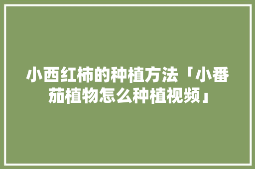 小西红柿的种植方法「小番茄植物怎么种植视频」 小西红柿的种植方法「小番茄植物怎么种植视频」 农业常识