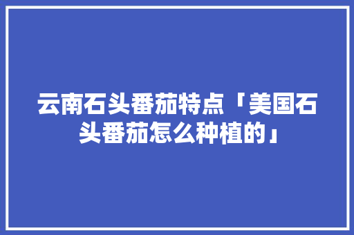 云南石头番茄特点「美国石头番茄怎么种植的」 云南石头番茄特点「美国石头番茄怎么种植的」 种植技巧