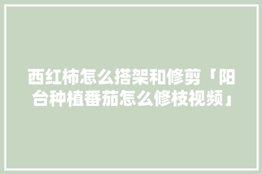 西红柿怎么搭架和修剪「阳台种植番茄怎么修枝视频」 西红柿怎么搭架和修剪「阳台种植番茄怎么修枝视频」 土壤施肥