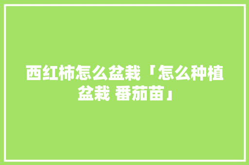 西红柿怎么盆栽「怎么种植盆栽 番茄苗」 西红柿怎么盆栽「怎么种植盆栽 番茄苗」 番茄种植技巧