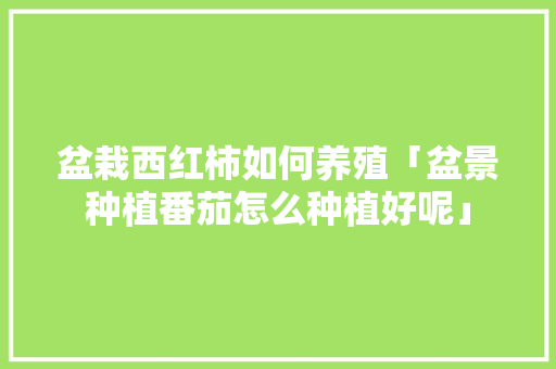 盆栽西红柿如何养殖「盆景种植番茄怎么种植好呢」 盆栽西红柿如何养殖「盆景种植番茄怎么种植好呢」 农业常识