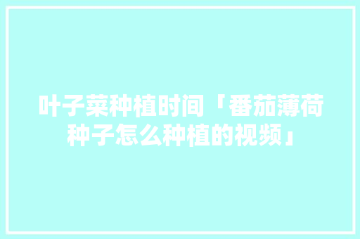 叶子菜种植时间「番茄薄荷种子怎么种植的视频」