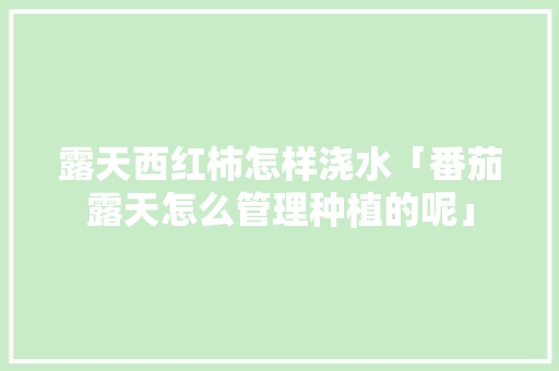 露天西红柿怎样浇水「番茄露天怎么管理种植的呢」 露天西红柿怎样浇水「番茄露天怎么管理种植的呢」 番茄种植技巧