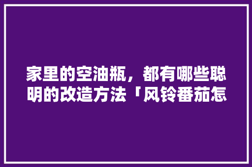 家里的空油瓶，都有哪些聪明的改造方法「风铃番茄怎么种植视频教程」