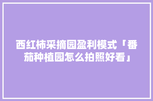 西红柿采摘园盈利模式「番茄种植园怎么拍照好看」 西红柿采摘园盈利模式「番茄种植园怎么拍照好看」 番茄种植技巧