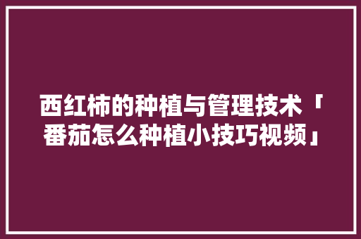 西红柿的种植与管理技术「番茄怎么种植小技巧视频」 种植技巧 西红柿的种植与管理技术「番茄怎么种植小技巧视频」 西红柿的种植与管理技术「番茄怎么种植小技巧视频」 种植技巧