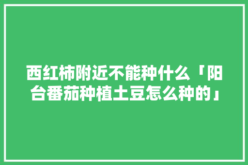 西红柿附近不能种什么「阳台番茄种植土豆怎么种的」 植物种类 西红柿附近不能种什么「阳台番茄种植土豆怎么种的」 西红柿附近不能种什么「阳台番茄种植土豆怎么种的」 植物种类