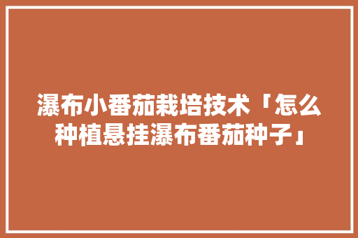 瀑布小番茄栽培技术「怎么种植悬挂瀑布番茄种子」 瀑布小番茄栽培技术「怎么种植悬挂瀑布番茄种子」 番茄病虫害防治