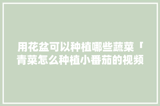 用花盆可以种植哪些蔬菜「青菜怎么种植小番茄的视频」 用花盆可以种植哪些蔬菜「青菜怎么种植小番茄的视频」 番茄病虫害防治