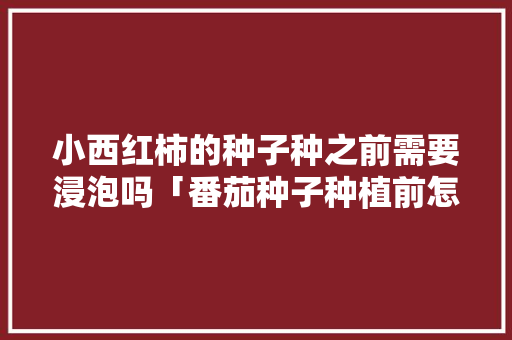 小西红柿的种子种之前需要浸泡吗「番茄种子种植前怎么处理好」