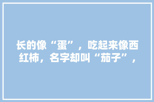 长的像“蛋”，吃起来像西红柿，名字却叫“茄子”，这种蔬菜咋那么奇怪？如何种植呢「黄金番茄怎么种植视频」