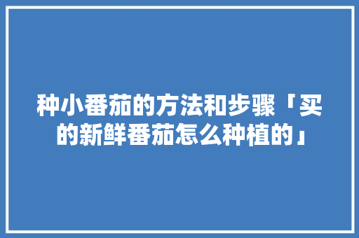 种小番茄的方法和步骤「买的新鲜番茄怎么种植的」 种小番茄的方法和步骤「买的新鲜番茄怎么种植的」 番茄病虫害防治