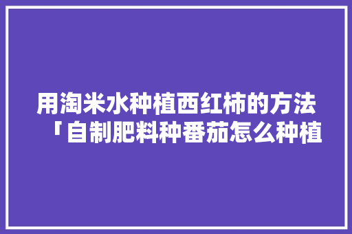 用淘米水种植西红柿的方法「自制肥料种番茄怎么种植视频」