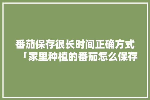 番茄保存很长时间正确方式「家里种植的番茄怎么保存时间长」