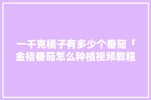 一千克橘子有多少个番茄「金桔番茄怎么种植视频教程」 一千克橘子有多少个番茄「金桔番茄怎么种植视频教程」 番茄病虫害防治