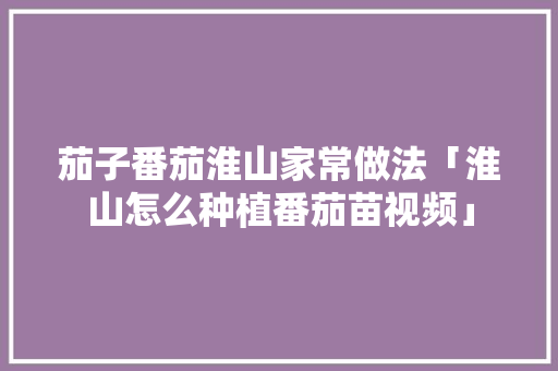 茄子番茄淮山家常做法「淮山怎么种植番茄苗视频」