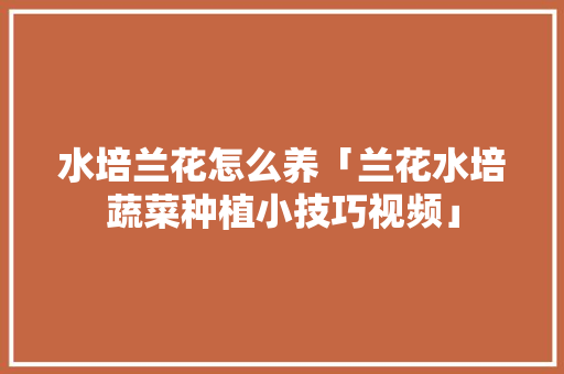 水培兰花怎么养「兰花水培蔬菜种植小技巧视频」 水培兰花怎么养「兰花水培蔬菜种植小技巧视频」 土壤施肥